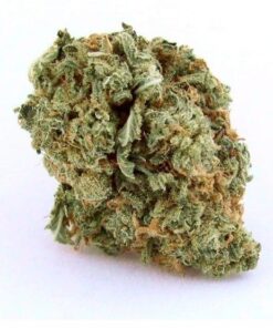 Buy Blue Dream marijuana strain online Sydney Australia