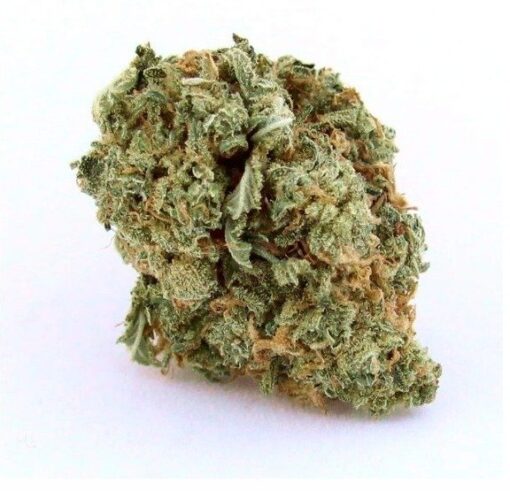 Buy Blue Dream marijuana strain online Sydney Australia