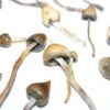 Liberty caps for sale online in sydney Australia