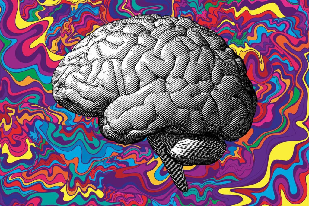 Top Places to Buy Magic Mushrooms Online in Adelaide, South Australia