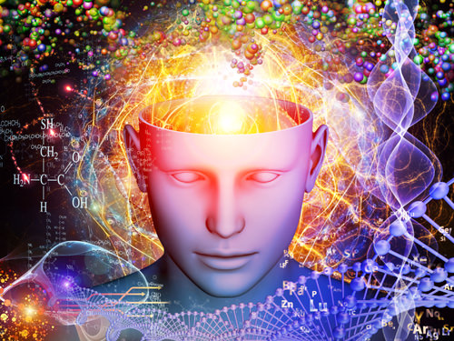 Magic Mushroom Online Delivery in Canberra, Australian Capital Territory