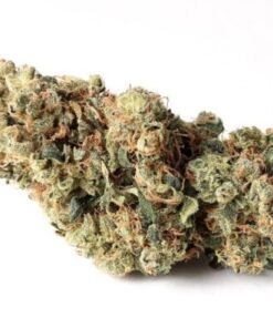 Where to buy Sour Diesel online in sydney Australia